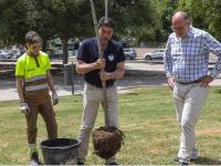 Luis Barcala y Manolo Villar en la plantación de un árbol