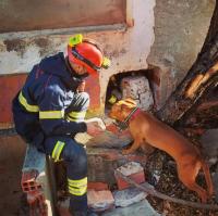 Bombero de la Unidad Canina del SPEIS Bombero de la Unidad Canina del SPEIS