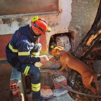 Bombero de la Unidad Canina del SPEIS