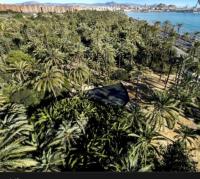 El Palmeral El Palmeral