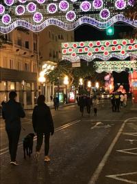 Calle de Alicante con luces de Navidad