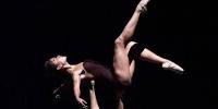 danza
