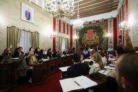Pleno Ayuntamiento