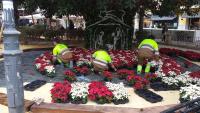 Instalación de la decoración navideña de la ciudad de Alicante