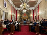 Pleno 25 de abril de 2024