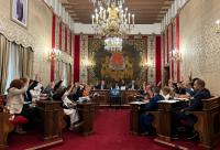 Pleno 30-05-2024