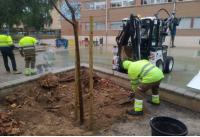Plantación de arbolado en el CEIP Miguel Valor