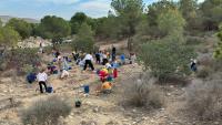Imagen de la reforestación efectuada por los alumnos del CEIP San Blas en el Monte Orgegia