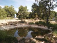 Abrevadero en monte Orgegia