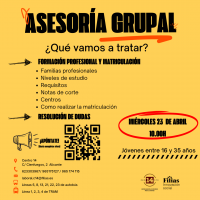 Asesoría Grupal