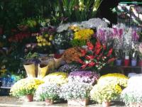 puestos de flores