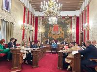 Pleno del Ayuntamiento de Alicante