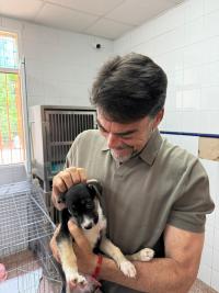 Imagen del alcalde de Alicante, Luis Barcala, en el albergue municipal de animales