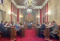 Imagen del Pleno del Ayuntamiento de Alicante