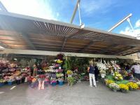 Imagen de los puesto de Flores del Mercado Central de Alicante