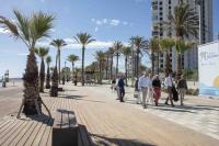 Imagen del alcalde de Alicante en la visita al nuevo paseo de la avenida de Niza