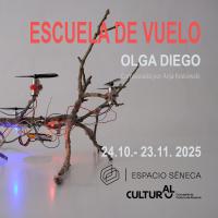 Imagen del cartel de la exposición Escuela de Vuelo de Olga Diego