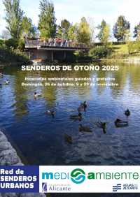 Imagen de patos en lago del parque La Marjal