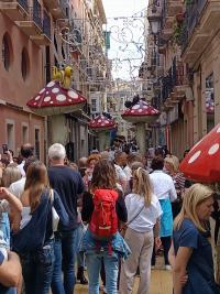 Imagen de la jornada de dinamización comercial de Botigues al Carrer