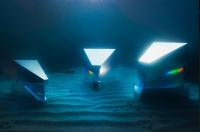 Imagen de PhotoAlicante