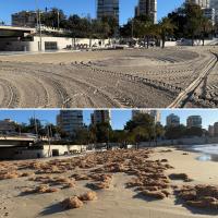 Efectos del paso de la borrasca Joseph por Alicante