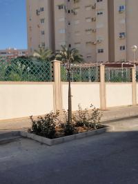 Imagen del la plantación de arbolado en la avenida de Gijón