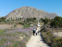 Imagen de un sendero de la ruta rural de Senderos de Primavera de Alicante