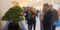 Imagen del alcalde de Alicante, Luis Barcala, en la visita al I Certamen de Bonsái Ciudad de Alicante