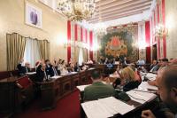 Imagen de la votación del Pleno del Ayuntamiento de Alicante