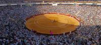 Imagen de la plaza de Toros de Alicante
