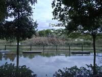 Imagen del Parque La Marjal