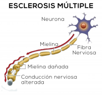 Imagen relacionada