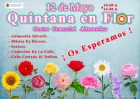 Fiesta de la Primavera en Poeta Quintana Alicante