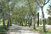 Parc Lo Morant