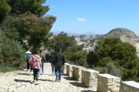 Cara Este El Benacantil