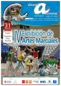 Alicante 12 Metas Artes Marciales