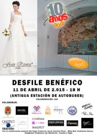 CARTEL DESFILE AODI