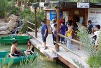 Embarcadero en el lago artificial del parque El Palmeral