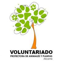 Documento Protectora de Animales