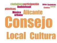 Consejo local