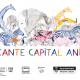 Alicante Capital Animal