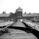 Día Internacional en Memoria de las Víctimas del Holocausto