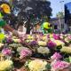 Reposición de flores en la Avenida de Salamanca