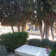 Tumba del Pintor Gastón Castelló en el Cementerio Municipal
