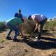 El alcalde Barcala y el concejal de Medio Ambiente Manuel Villar participan junto a la asociación Enamorados de Alicante en la reforestación de C...