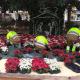 Instalación de la decoración navideña de la ciudad de Alicante