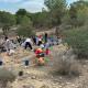 Imagen de la reforestación efectuada por los alumnos del CEIP San Blas en el Monte Orgegia