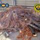Imagen del los 612 kilos de cable de cobre incautados en la operación