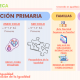 coeducateca_infografia