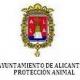 protección animal